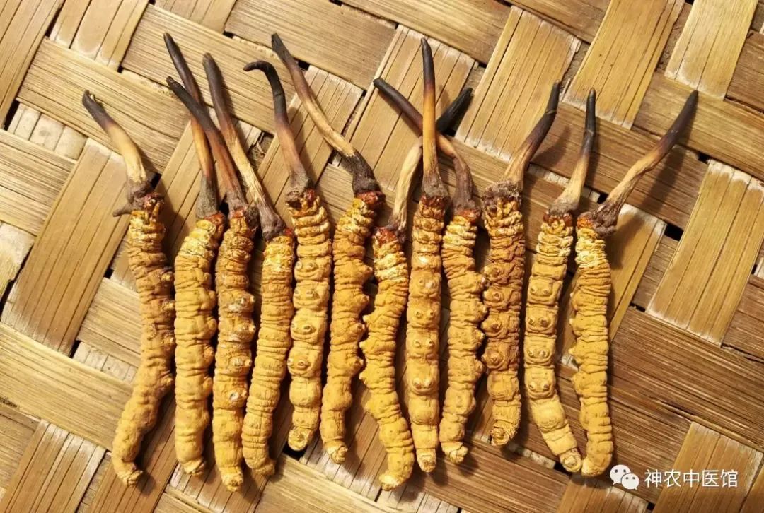 神農(nóng)中醫(yī)館 神農(nóng)中醫(yī)館