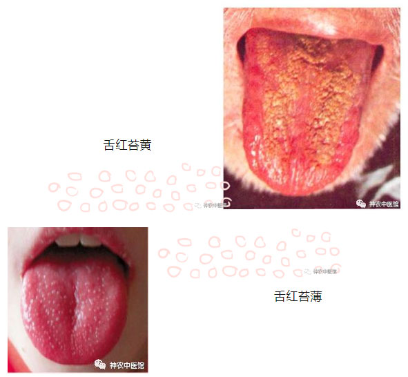 神農(nóng)中醫(yī)館 神農(nóng)中醫(yī)館