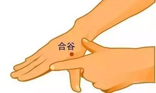 神農(nóng)中醫(yī)館 神農(nóng)中醫(yī)館