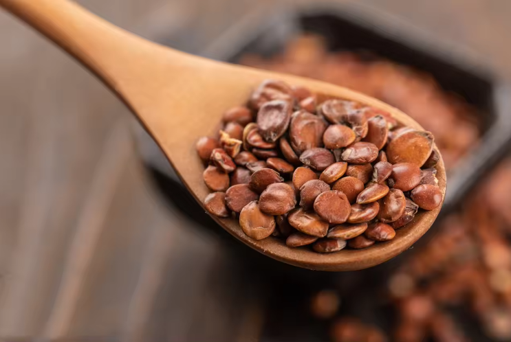 神農(nóng)中醫(yī)館 神農(nóng)中醫(yī)館