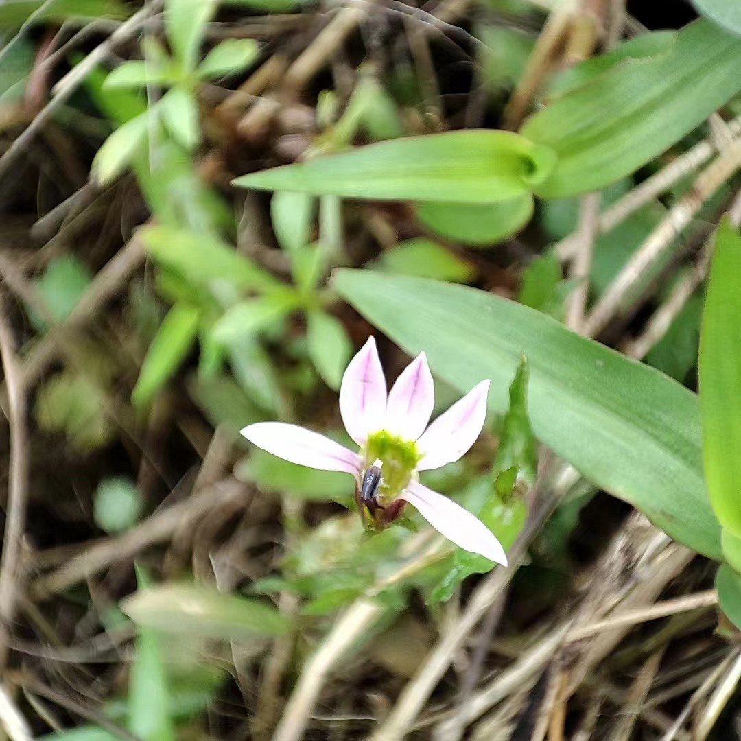 神農(nóng)中醫(yī)館 神農(nóng)中醫(yī)館