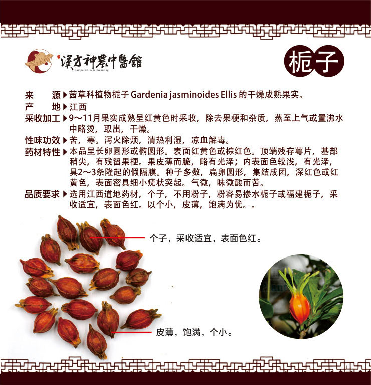 神農(nóng)中醫(yī)館 神農(nóng)中醫(yī)館