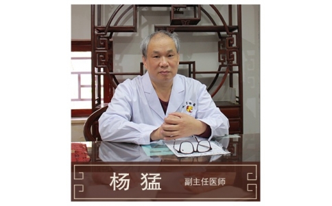 楊猛-副主任醫(yī)師